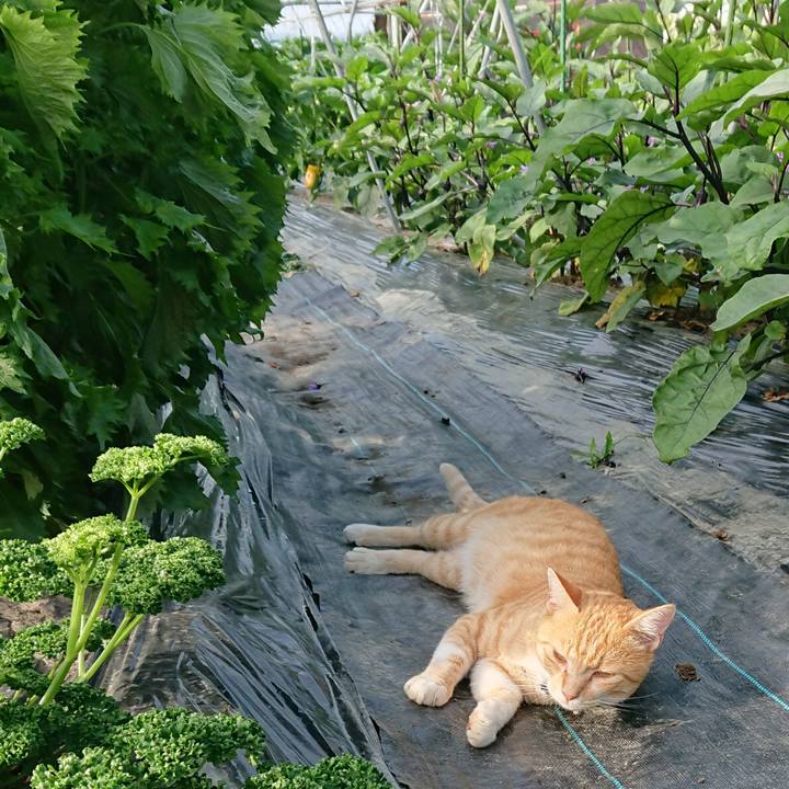 Bd550df4 ed15 456e a5b7 45ebc9d62fc2 1563933657457