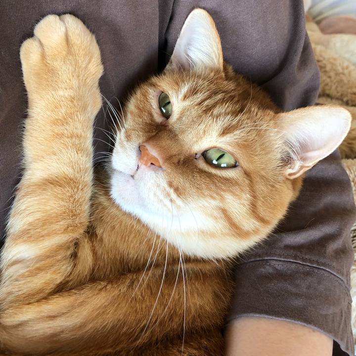 Bd555a46 7cb4 4c9f a15a b5333f9cc463 1637202033420