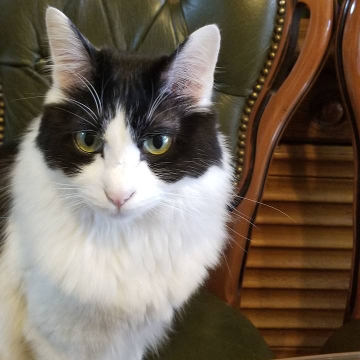 Bd556d41 75b1 4495 84d8 0281a38fac7d 1549063666950