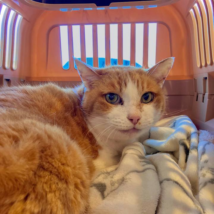 Bd557278 8c51 4cbe 9da4 ad12a925305b 1735019611929