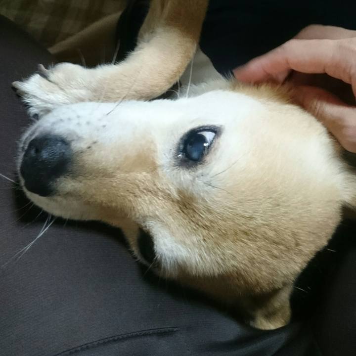 Bd558a79 a579 4960 b582 1ed1cdd3caf8 1535796475091