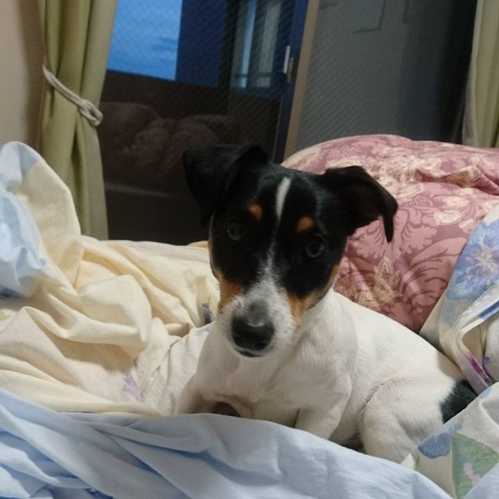 Bd559794 7bcd 489c a8e8 85d7cc39105e 1557139117813