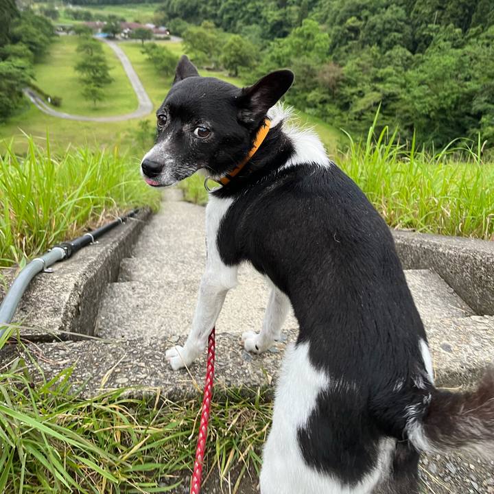 Bd55e4ed f6c6 4ebf 95e7 58a9204be98d 1686651921161