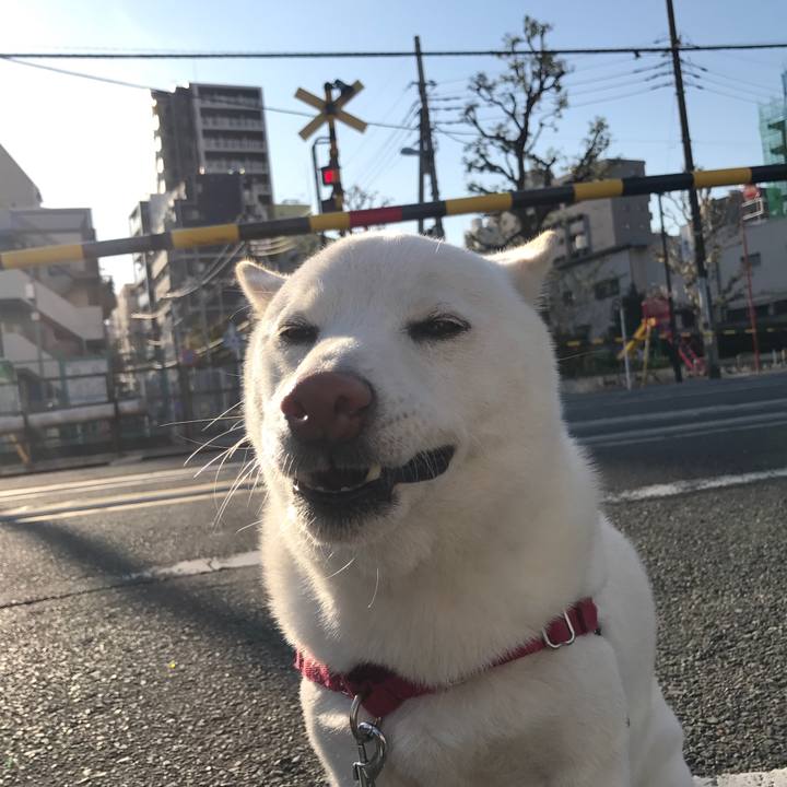 Bd566fc0 5424 4eb8 9bbf c22414e1f74d 1511309149691