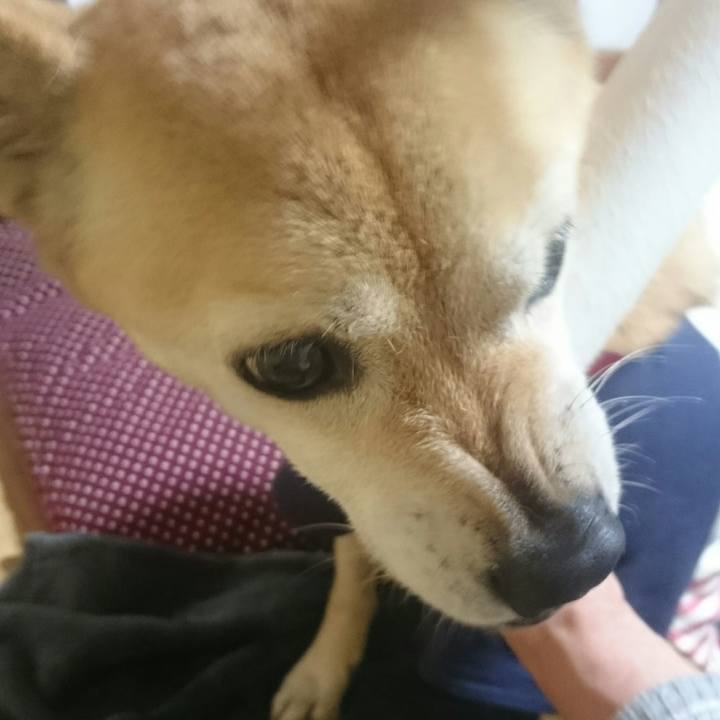 Bd568e6a 24d7 4fe3 b6a2 c61befb6eff7 1513075770559