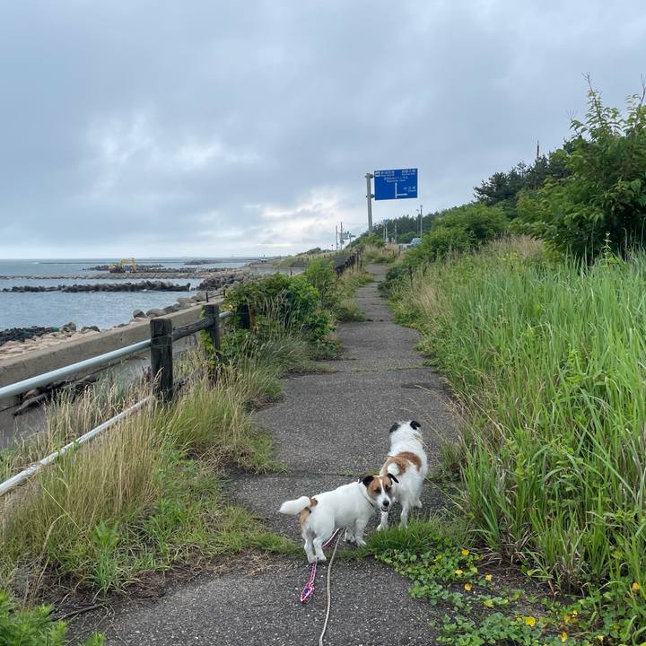 Bd56b617 1e78 47c3 a244 d6d20a43d34e 1720052746571