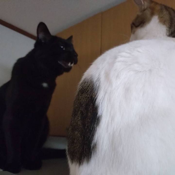 Bd56fb4d 4194 49a7 b112 51acaa8d6317 1729296322611