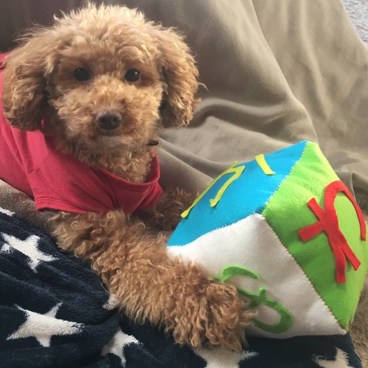 Bd570a8a 6c34 4c60 b42c d61ee50053bc 1514425409081