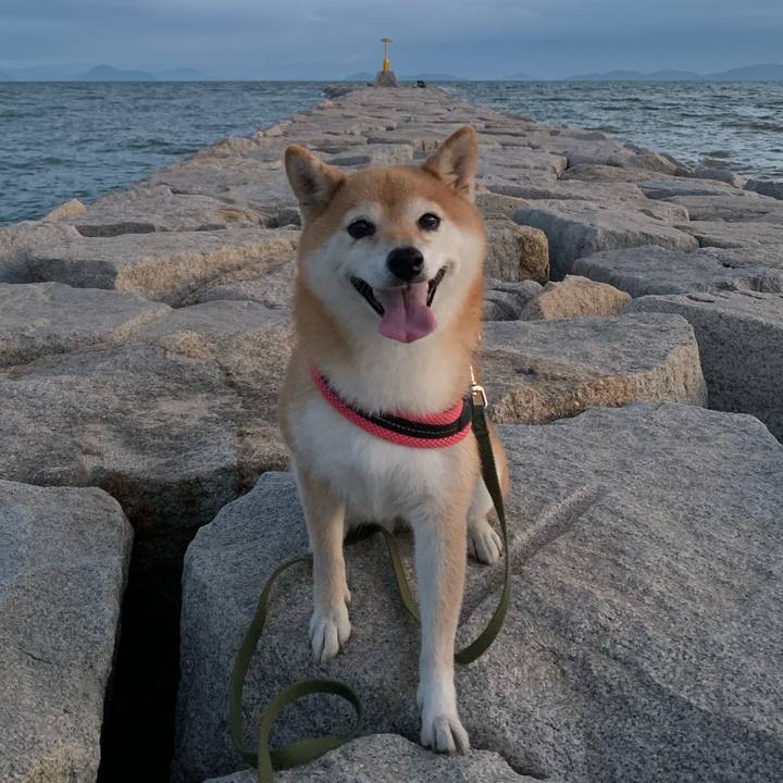 Bd573231 9f7d 4576 ac19 39a34ccc8935 1598702396971