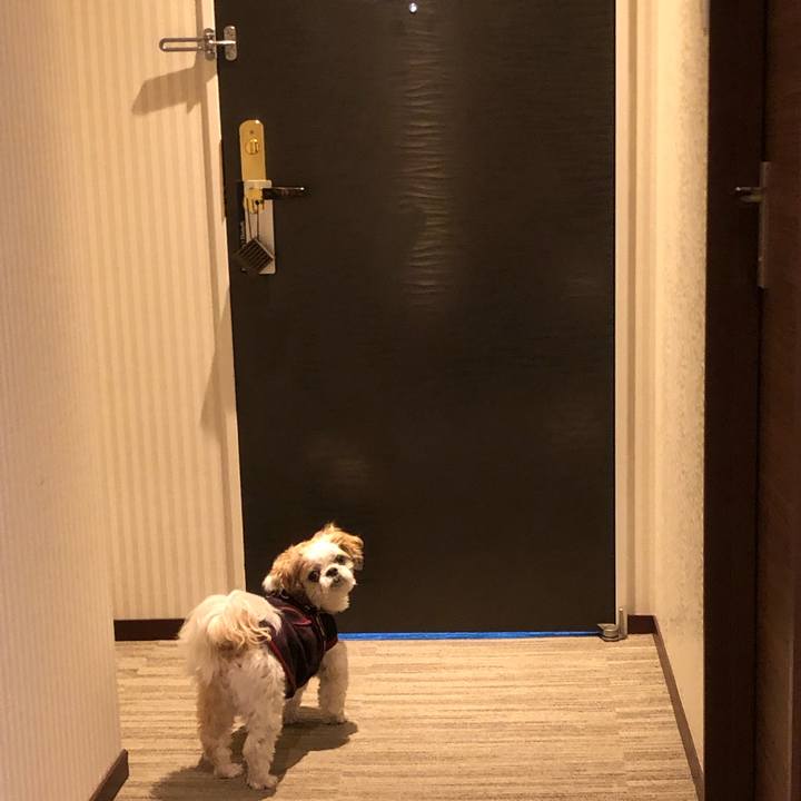 Bd5737d9 1be6 4cb4 ac36 391073d0e9e9 1571866938984