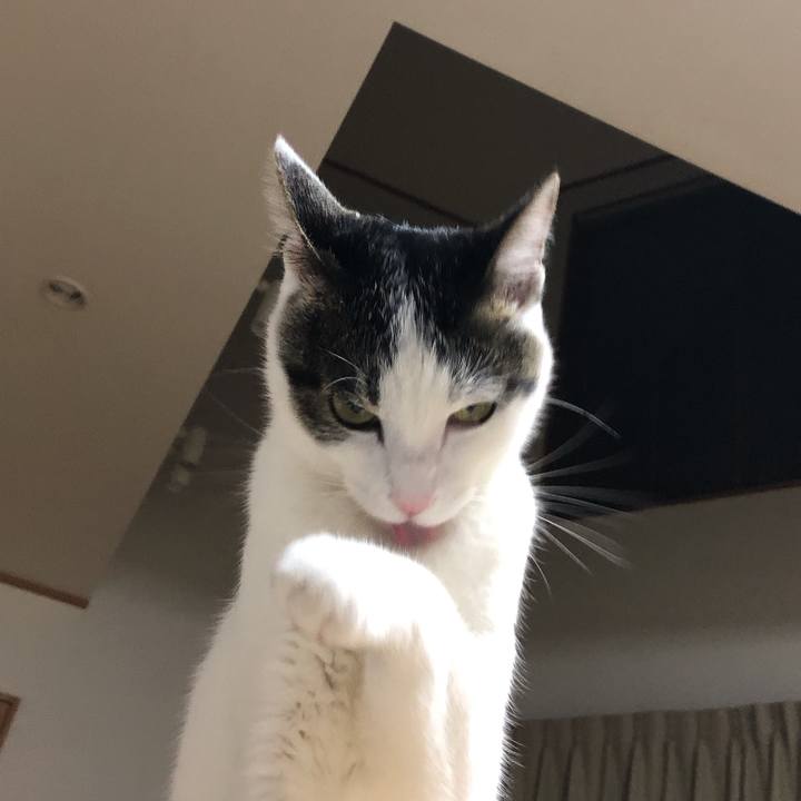 Bd574fec f635 49bb abe9 434e3fce6ad8 1598708253475