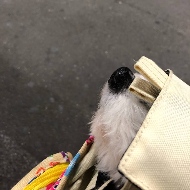 Bd57abf9 8e44 445e 8237 bfa80f43b21e 1649941976752