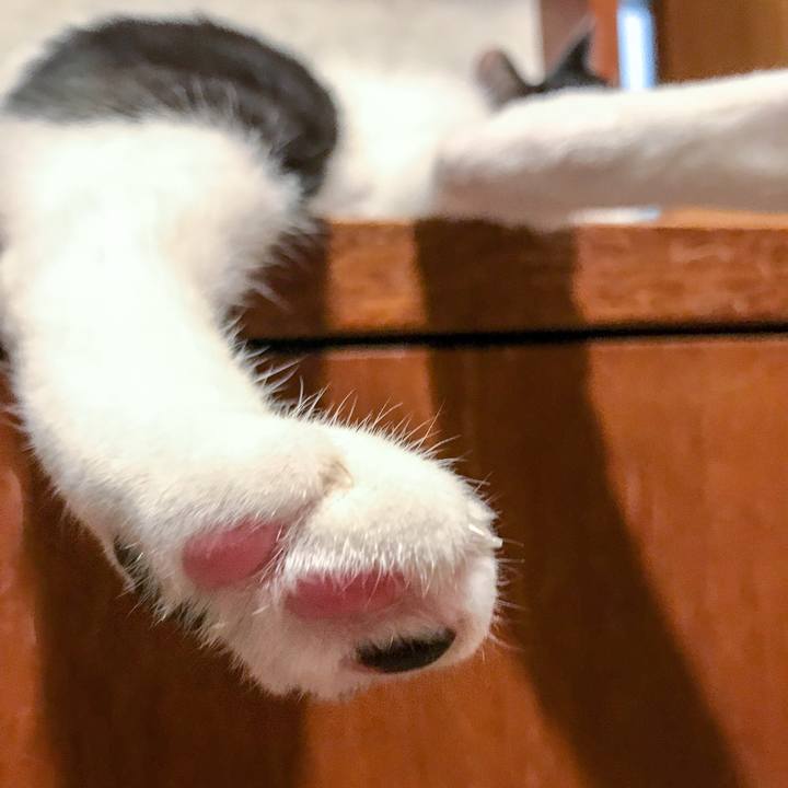 Bd57baac 3c79 4efd 9044 a6b3154534ad 1509781206119