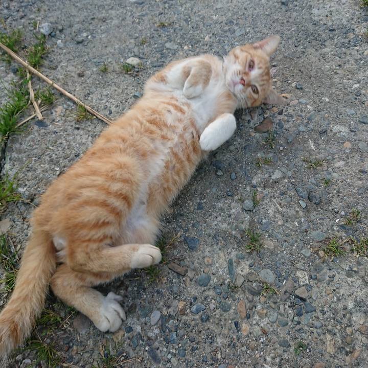 Bd57d731 bedb 45d8 ae10 5036a8aa88e9 1558603331635