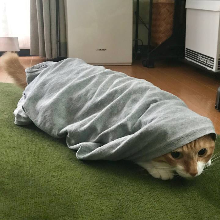 Bd57e5d3 1017 4e8e 8e9d b36c757d4418 1567429196026