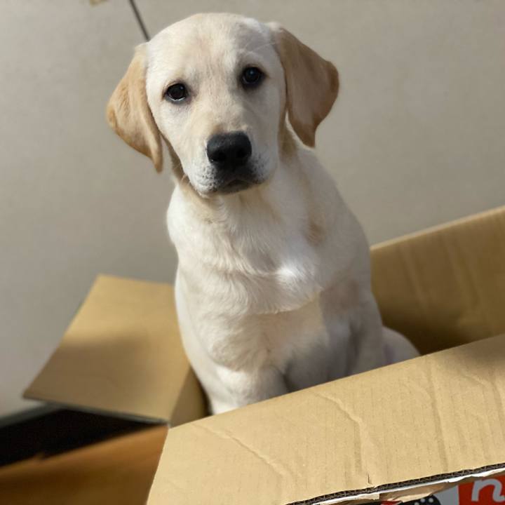 Bd5828ed 9221 4c0d 8a12 9e17ed20acf0 1614941110760