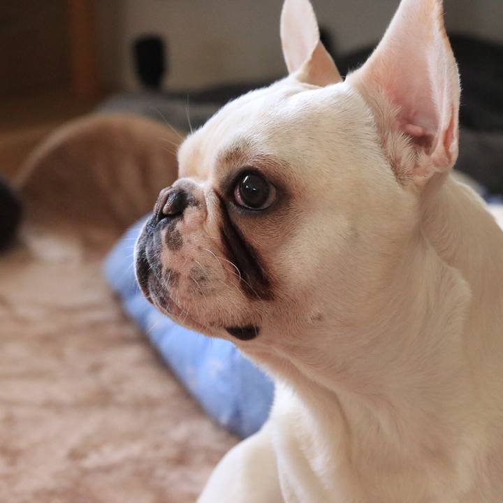 Bd5871bc e344 42e8 9c1a bee9475df72c 1522340578231