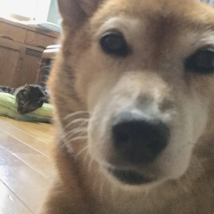 Bd587e3d 12c6 405e ac7e 6da4ba0ce84e 1628590861385