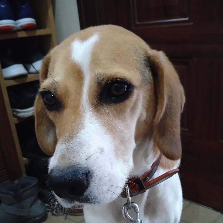 Bd588398 b4ba 4a9a 8186 b9d64bc5ff1d 1628775162265