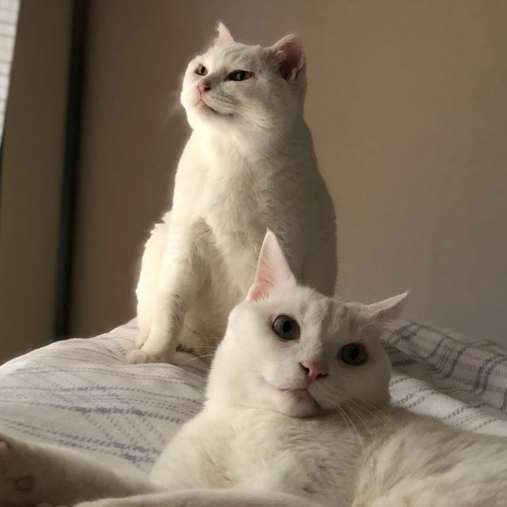 Bd58a3ed 8bb8 40d1 828b 6793a3584e71 1562126815818