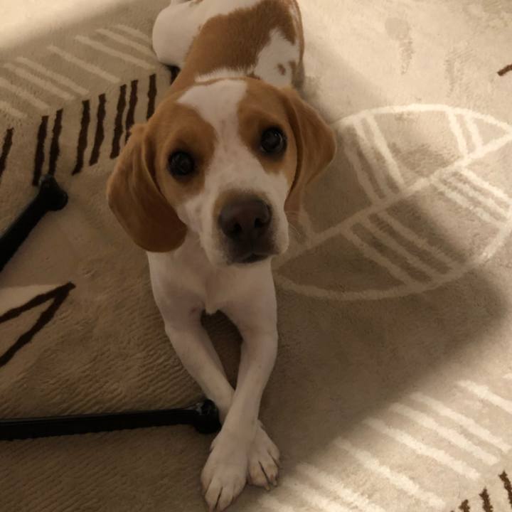 Bd58df8d 74af 472f bfd3 1d0246d8dae1 1572003029514