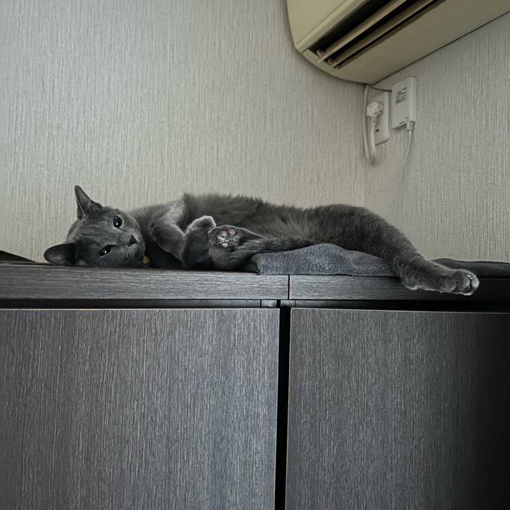 Bd58e78d b856 48ff a545 4b4f3933f179 1701295116007