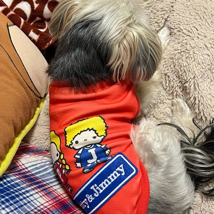 Bd58f1d1 a4e2 4e1c a997 36a726441016 1770174552419