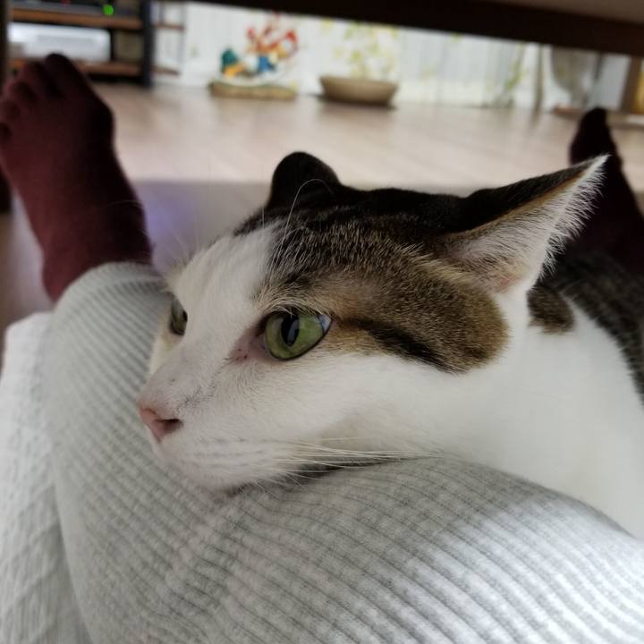 Bd5964ca f276 4119 a12e a80ce64fdfe9 1603969787081