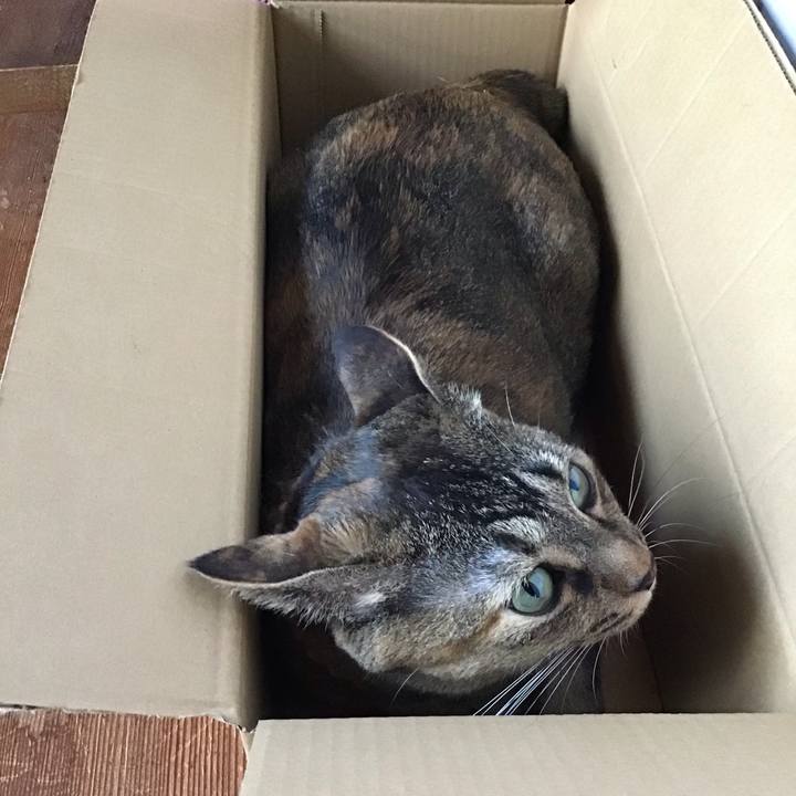 Bd596d68 47c6 4365 8f8c 197bfac6289d 1658741959963