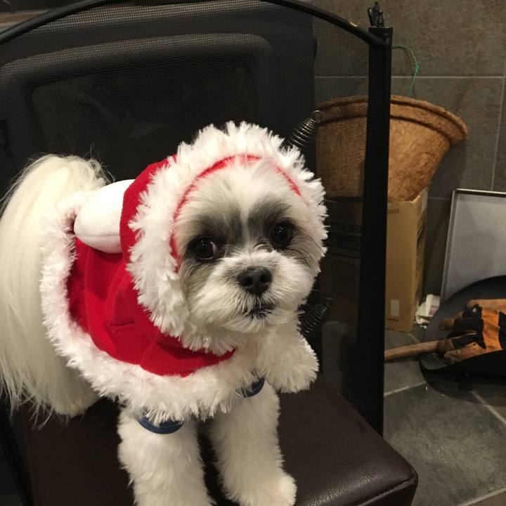 Bd59a5f8 c407 4041 871f cbe8a233a4cd 1508894395510