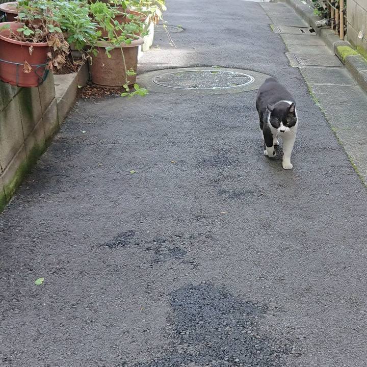 Bd59af56 1c02 422d 8649 f773471532aa 1658879335157