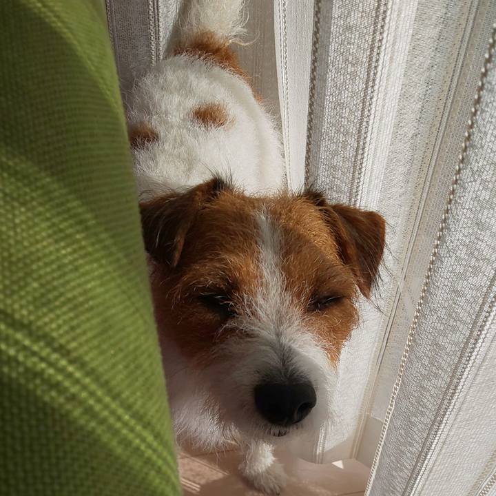 Bd59d9bb a37a 48dd a06c 9bca178fd309 1572927880274