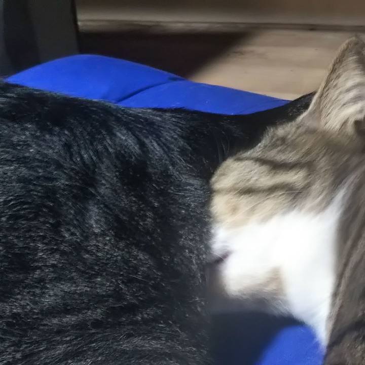 Bd59e059 e824 4c75 bc74 73e959e44795 1603097856819