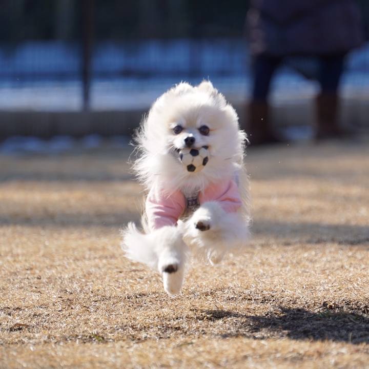 Bd59e3d5 3d28 4337 8644 a6c9aa331e84 1549110072789