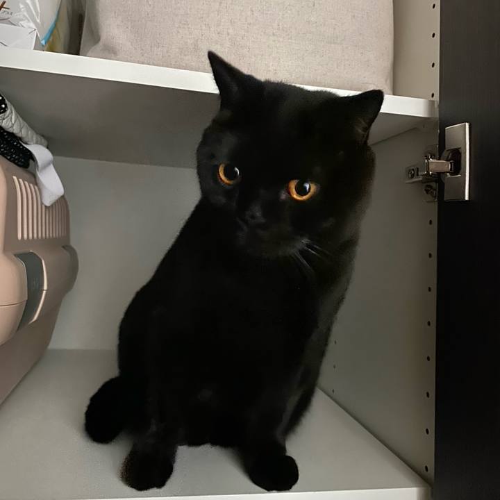 Bd5a1801 2888 49fd 950b 8be1e5b630d8 1648715686315