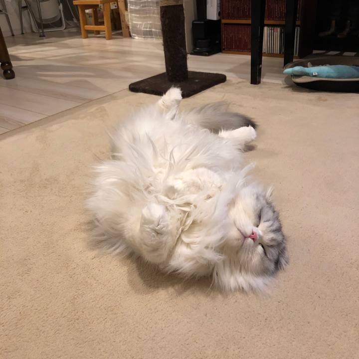 Bd5a291c f63b 4619 b072 9355f705f6a9 1643801454742