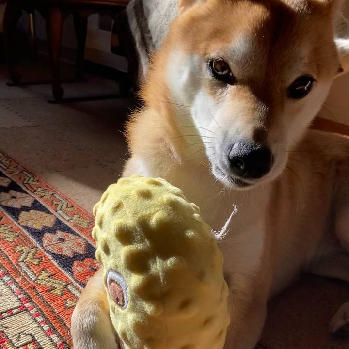 Bd5a6bab 5c7a 4fff a808 917159163625 1671325598418