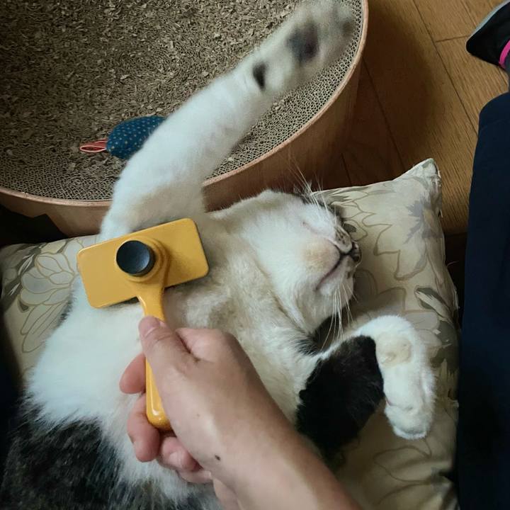 Bd5a7263 42f5 4e9c 925f eafd234e7976 1727956084906