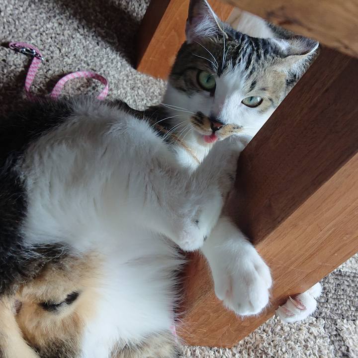 Bd5a9983 7078 4f03 b5d9 cf3e2e454e25 1584762520136