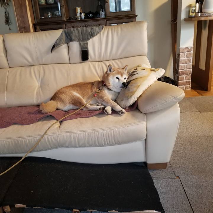 Bd5ab65f d9d5 436e adbd 9c218f7c5a0e 1732237429040