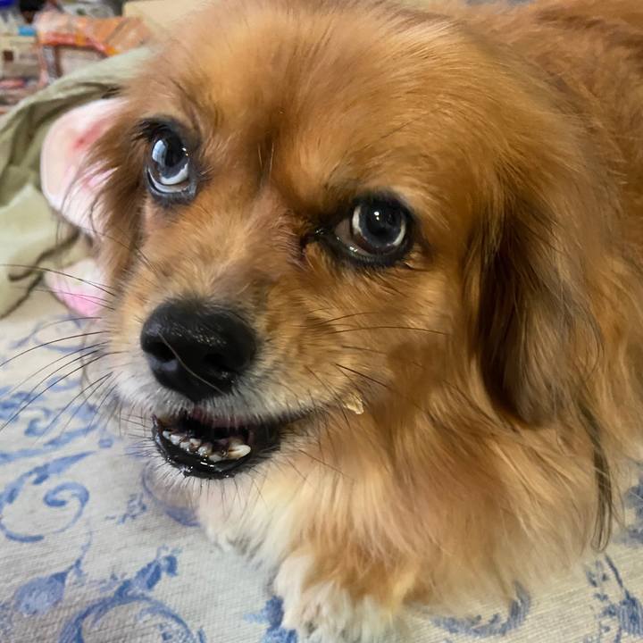 Bd5add22 21fe 4b84 84cb fb44d42ad4e8 1665007405069