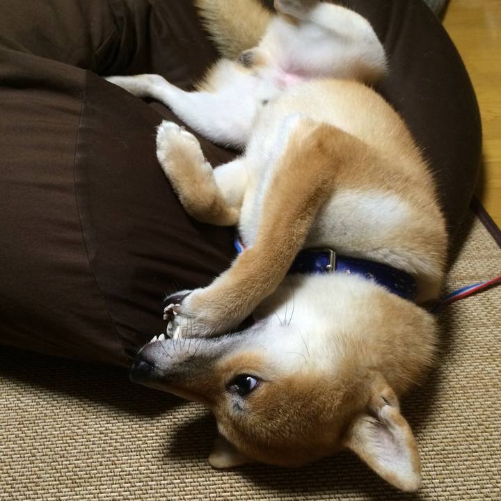 Bd5b122c e866 478a bd68 16d3d7c1f501 1538746517564