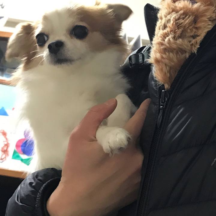 Bd5b130d ccd8 482e a965 6828e9195b56 1513516030323