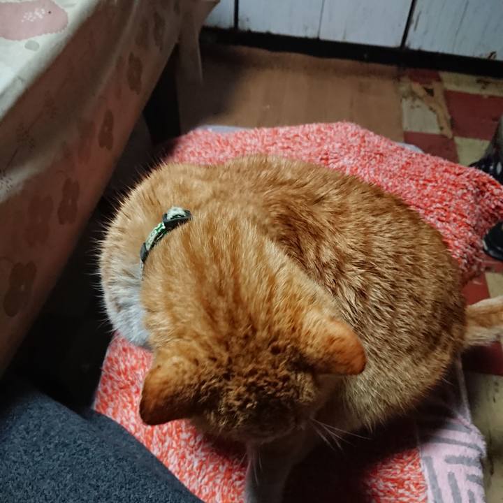 Bd5b1f49 a5d1 4b12 a52d 16c3c6429526 1584654595361