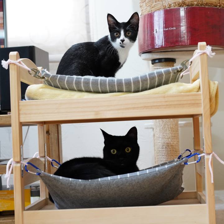 Bd5b1f58 4394 4eb1 a476 5969748b9a6d 1572164470440