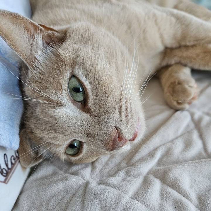 Bd5b239e ae53 4763 9c94 87c84c7f71ab 1728127125889