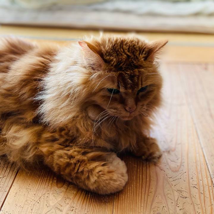 Bd5b78d9 1589 44ac 93ad 3136e1c604e4 1741991210795