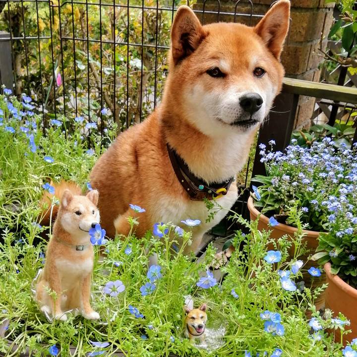 Bd5bb1ad c287 4b48 948a 105dcd780e91 1587087725983