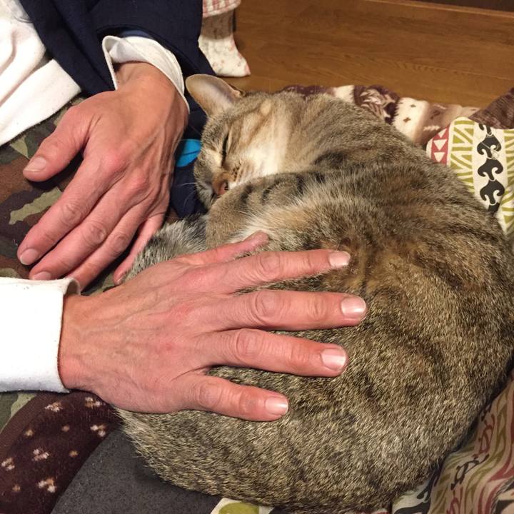 Bd5bce8e 4240 4cb1 b2c1 781dfb465d30 1518518568378