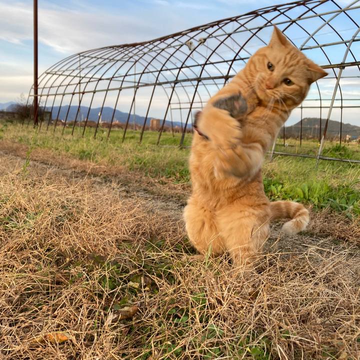 Bd5be9d3 216f 4b3d a081 963951a87c8a 1763432100641